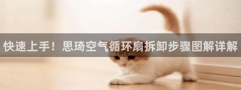 快速上手！思琦空气循环扇拆卸步骤图解详解