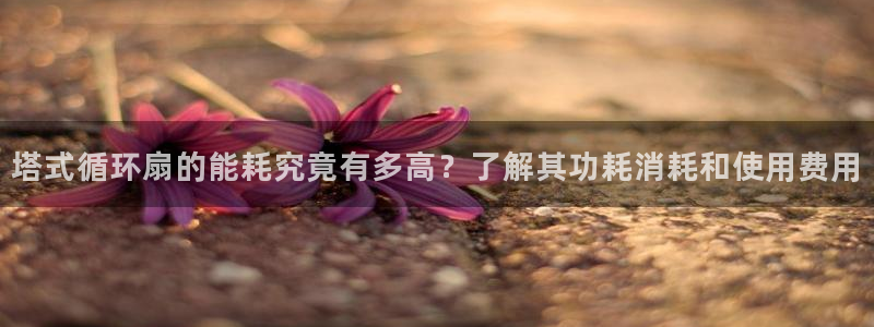塔式循环扇的能耗究竟有多高？了解其功耗消耗和使用费用