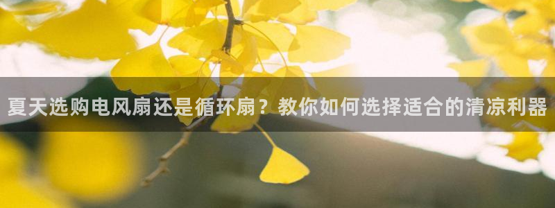 夏天选购电风扇还是循环扇？教你如何选择适合的清凉利器