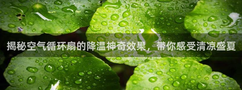 揭秘空气循环扇的降温神奇效果，带你感受清凉盛夏