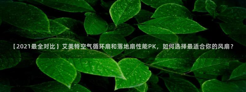 凯发k8娱乐官网入：【2021最全对比】艾美特空气循环扇和落地扇性能PK，如何选择最适合你的风扇？