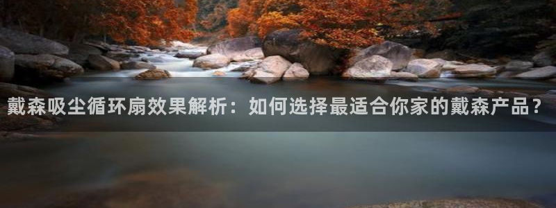 凯发旗舰网站：戴森吸尘循环扇效果解析：如何选择最适合你家的戴森产品？