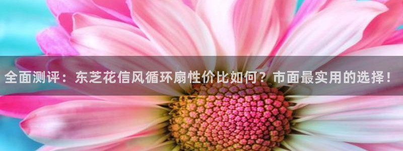 凯发k8旗舰厅手机下载：全面测评：东芝花信风循环扇性价比如何？市面最实用的选择！