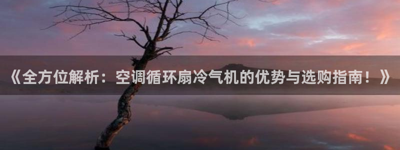 凯发在线官网登录下载：《全方位解析：空调循环扇冷气机的优势与选购指南！》