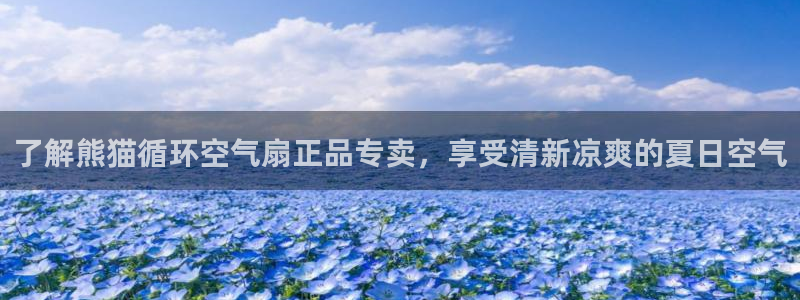 凯发国际平台登录入口官网：了解熊猫循环空气扇正品专卖，享受清新凉爽的夏日空气