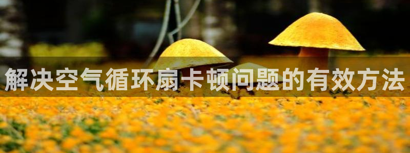 凯发app官网