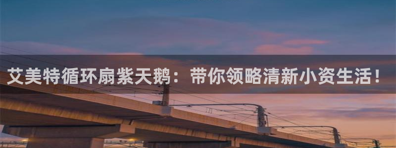 凯发K8登录入口：艾美特循环扇紫天鹅：带你领略清新小资生活！