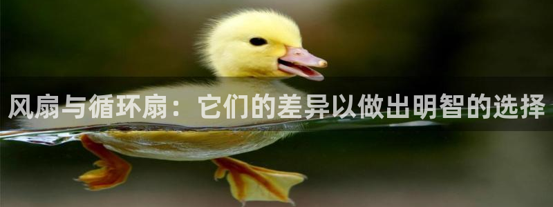 凯发k8国际真人版安全送38元：风扇与循环扇：它们的差异以做出明智的选择