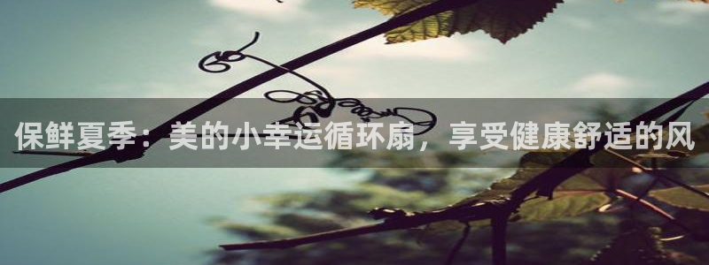 凯发k81111国际真人版：保鲜夏季：美的小幸运循环扇，享受健康舒适的风