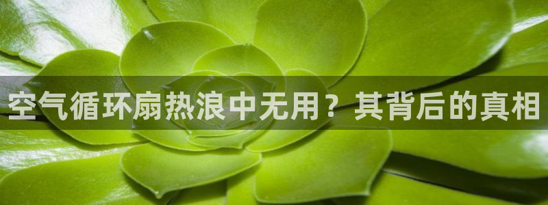 凯发k8555|手机版：空气循环扇热浪中无用？其背后的真相