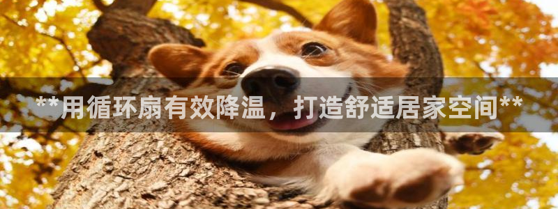 凯发就来凯发天生赢家一触即发：**用循环扇有效降温，打造舒适居家空间**