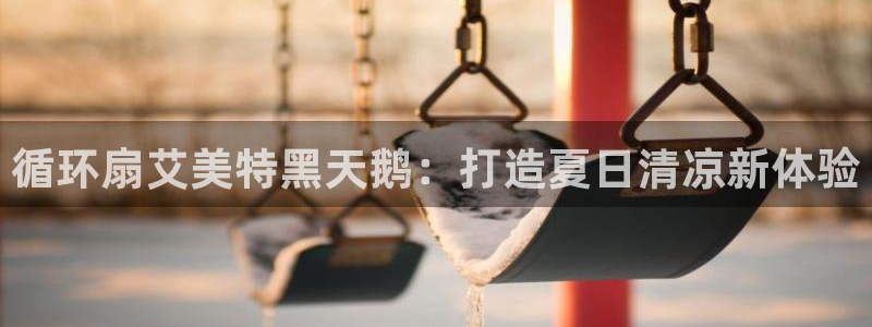 凯发旗舰网站：循环扇艾美特黑天鹅：打造夏日清凉新体验