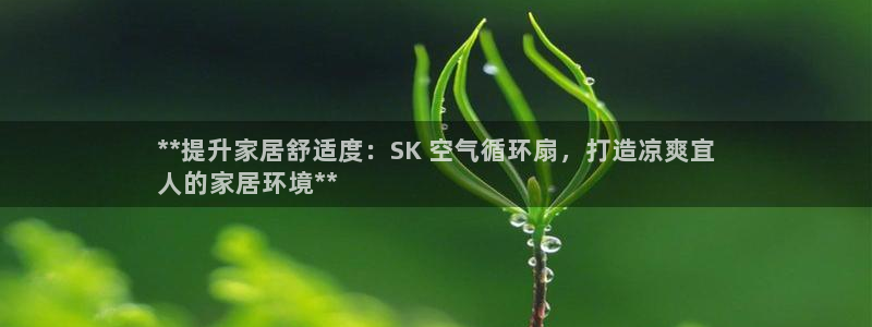 凯发娱网址是什么：**提升家居舒适度：SK 空气循环扇，打造凉爽宜
人的家居环境**