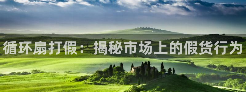 凯发国际平台：循环扇打假：揭秘市场上的假货行为