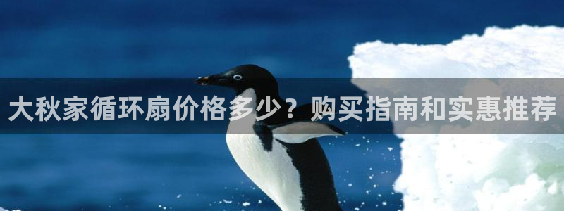 凯发正规网站：大秋家循环扇价格多少？购买指南和实惠推荐