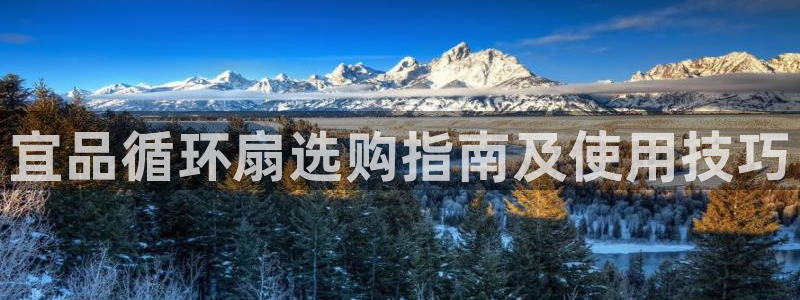 凯发娱乐k8下载：宜品循环扇选购指南及使用技巧