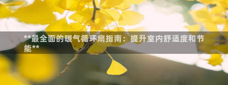 凯发在线平台官方网站：**最全面的暖气循环扇指南：提升室内舒适度和节
能**