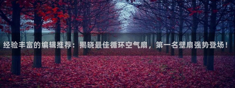 凯发k8娱乐官网最新版本：经验丰富的编辑推荐：揭晓最佳循环空气扇，第一名壁扇强势登场！